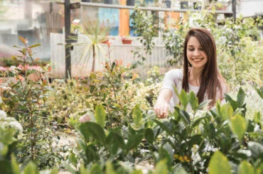 Essential Garden Cleaning Tips for a Spotless Small Backyard